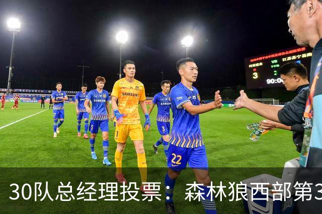 30队总经理投票：森林狼西部第3，却又被选为最难预测